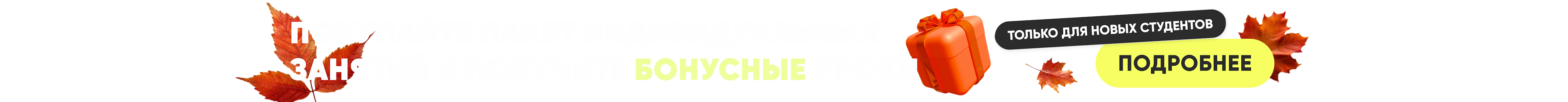 for-beginners-big-banner