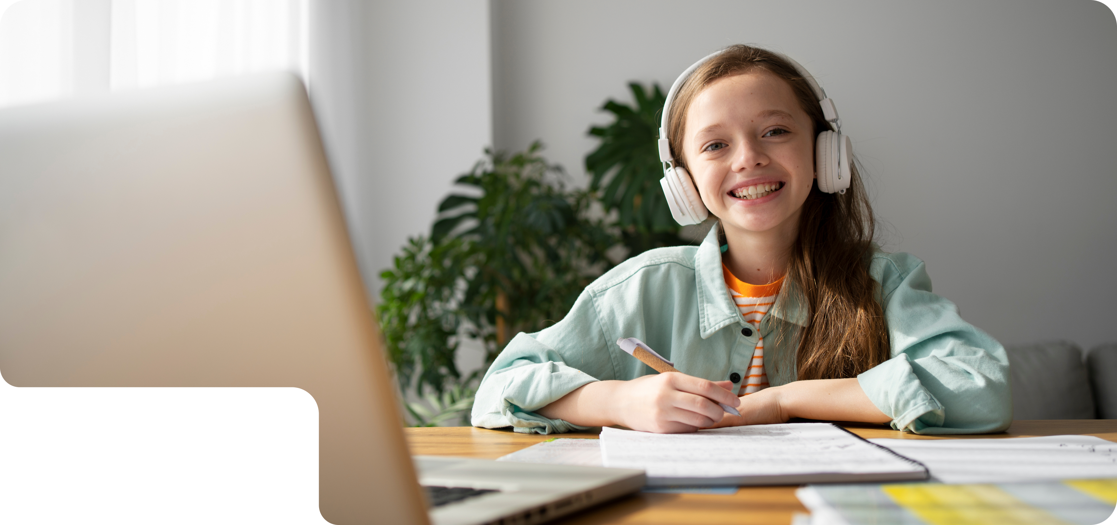 Background why choose Korean Simple